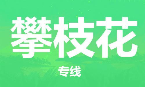 惠安县到攀枝花货运公司_惠安县到庆阳攀枝花物流货运专线